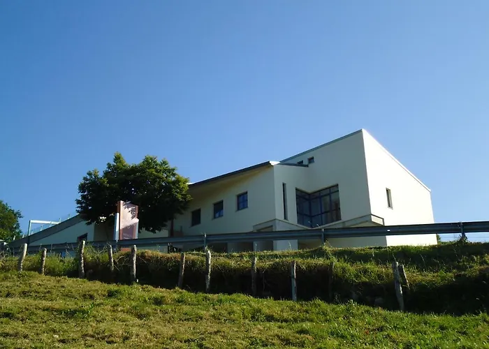 Hotel Parrilla El Zangano